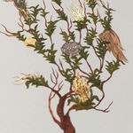 Saliha Beyza Umurca, Doğadan Yansıyan / Reflection of the Nature