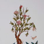 Saliha Beyza Umurca, Doğadan Yansıyan / Reflection of the Nature