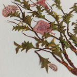 Saliha Beyza Umurca, Doğadan Yansıyan / Reflection of the Nature