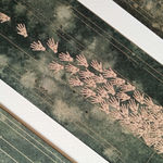 Saliha Beyza Umurca, Doğadan Yansıyan / Reflection of the Nature