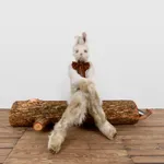 Bridget Mullen, A Thought is Dynamite, 2017-2025