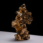 Nicole Wilson, National Debt Project Chocolate Coins (Single)