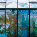 Joiri Minaya, I can wear tropical print now #5, 2018