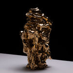 Nicole Wilson, National Debt Project Chocolate Coins (Single)