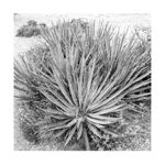 Thomas Block Humery, Houston #3 (Williams Tower and Clouds), 2023