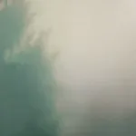 Pedro Oliveira, Un lieu imaginé 2, 2025