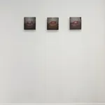 Pedro Oliveira, Un lieu imaginé 2, 2025