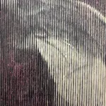 Morgane Ely, Kristen Steward and Robert Pattinson swimming, 2023