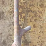 Tom Jablin, Cöl, 2022