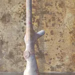 Tom Jablin, Cöl, 2022