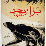 Bara Rich [Biggest Bear]. Front cover