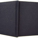 The Golden Ball by Lydia Maria Child. Boards