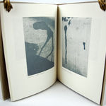 Classification of a Spit Stain. Illustrated spread