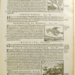 A Leaf History of British Printing From 1610 to 1774. Leaf