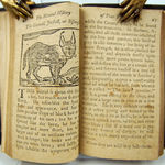 The Natural History of Four Footed Beasts by Tommy Trip. Text spread