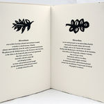 Microclima. Text spread