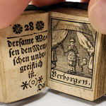 Biblia oder Inhalt und Kern gantzer h. Schrift. Illustrated text spread