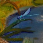 Kateřina Ondrušková, Kiss, 2024