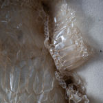 Morgan Leigh, A baby named Rodeo, 2025