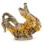 Sasha Koozel Reibstein, The Weave, 2022