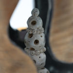 Leon Zhan, Two Lions Contemplating the Moon, 2025