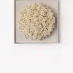 Hilde Trip, The Golden Wish