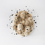 Sofie Aaldering, Orange Pompom