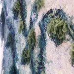 Sofie Aaldering, Big Moss Planet, 2025