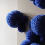 Sofie Aaldering, Early spring pompom