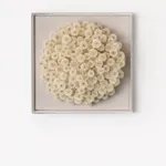 Hilde Trip, The Golden Wish