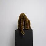 Sebiha Demir, Tiger Tongue