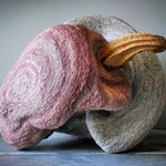 Frits Achten, Larveae 1