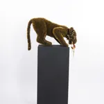 Sebiha Demir, Tiger Tongue