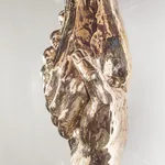 Studio Job, Time Bomb