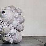 Frits Achten, Larveae 1