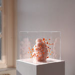 Sofie Aaldering, Orange Pompom