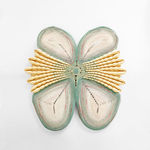 Joana Schneider, Gold Swift