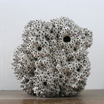 Frits Achten, Larveae 1