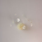 Sofie Aaldering, Orange Pompom