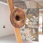 Leonie Schneider, Mushroom cousins