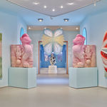 Joana Schneider, Gold Swift