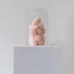 Sofie Aaldering, Orange Pompom