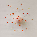 Sofie Aaldering, Early spring pompom