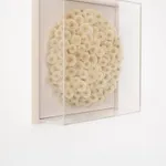 Hilde Trip, The Golden Wish