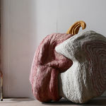 Frits Achten, Larveae 1