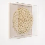 Hilde Trip, The Golden Wish