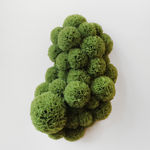 Sofie Aaldering, Spruut