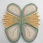 Joana Schneider, Gold Swift