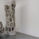 Frits Achten, Larveae 1