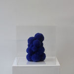 Sofie Aaldering, Early spring pompom